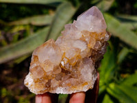 Natural Golden Limonite Spirit Quartz Crystals x 4 From South Africa - Toprock Gemstones and Minerals