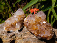 Natural Golden Limonite Spirit Quartz Crystals x 4 From South Africa - Toprock Gemstones and Minerals