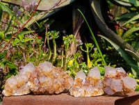 Natural Golden Limonite Spirit Quartz Crystals x 4 From South Africa - Toprock Gemstones and Minerals