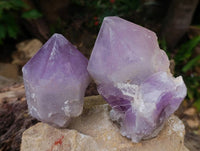 Natural Jacaranda Amethyst Quartz Crystals x 3 From Mumbwa, Zambia - Toprock Gemstones and Minerals