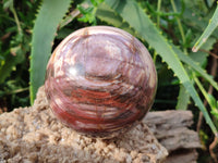 Polished Red Podocarpus Petrified Wood Spheres x 3 From Mahajanga, Madagascar - Toprock Gemstones and Minerals