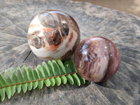 Polished Red Podocarpus Petrified Wood Spheres x 3 From Mahajanga, Madagascar - Toprock Gemstones and Minerals