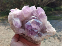 Natural Jacaranda Amethyst Quartz Crystals x 1 From Mumbwa, Zambia - Toprock Gemstones and Minerals