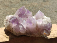 Natural Jacaranda Amethyst Quartz Crystals x 1 From Mumbwa, Zambia - Toprock Gemstones and Minerals