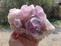Natural Jacaranda Amethyst Quartz Crystals x 1 From Mumbwa, Zambia - Toprock Gemstones and Minerals