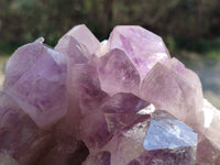 Natural Jacaranda Amethyst Quartz Crystals x 1 From Mumbwa, Zambia - Toprock Gemstones and Minerals