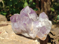 Natural Jacaranda Amethyst Quartz Crystals x 1 From Mumbwa, Zambia - Toprock Gemstones and Minerals