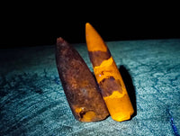 Natural Belimnite Fossils x 1 Lot, From Maintiarano, Madagascar - Toprock Gemstones and Minerals