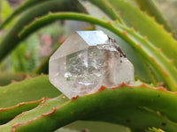 Natural Brandberg Quartz Matrix Crystals x 12 From Brandberg, Namibia - Toprock Gemstones and Minerals
