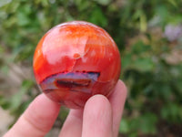 Polished Carnelian Agate Gemstone Spheres x 6 From Madagascar - Toprock Gemstones and Minerals