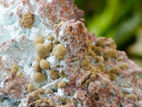 Kolwezite, Calcite and Chrysocolla Specimens x 4 From Mashamba West Mine, Congo - Toprock Gemstones and Minerals