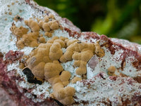 Kolwezite, Calcite and Chrysocolla Specimens x 4 From Mashamba West Mine, Congo - Toprock Gemstones and Minerals