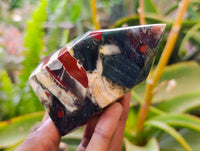 Polished Bloodstone Points x 3 From Swaziland - Toprock Gemstones and Minerals