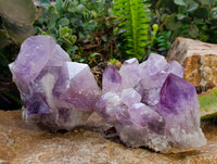 Natural Jacaranda Amethyst Quartz Crystals x 2 From Mumbwa, Zambia - Toprock Gemstones and Minerals