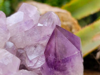 Natural Jacaranda Amethyst Quartz Crystals x 2 From Mumbwa, Zambia - Toprock Gemstones and Minerals