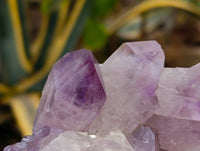 Natural Jacaranda Amethyst Quartz Crystals x 2 From Mumbwa, Zambia - Toprock Gemstones and Minerals