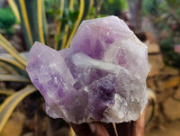 Natural Jacaranda Amethyst Quartz Crystals x 2 From Mumbwa, Zambia - Toprock Gemstones and Minerals