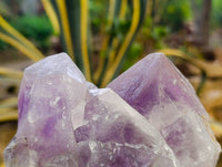 Natural Jacaranda Amethyst Quartz Crystals x 2 From Mumbwa, Zambia - Toprock Gemstones and Minerals