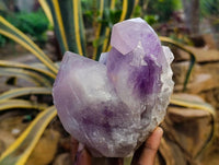 Natural Jacaranda Amethyst Quartz Crystals x 2 From Mumbwa, Zambia - Toprock Gemstones and Minerals