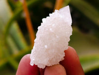 Natural Amethyst Spirit Quartz Crystals x Lot From Boekenhouthoek, South Africa - Toprock Gemstones and Minerals