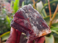 Natural Cobbed Bloodstone Specimens x From Swaziland - Toprock Gemstones and Minerals