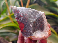 Natural Cobbed Bloodstone Specimens x From Swaziland - Toprock Gemstones and Minerals