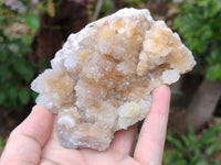 Natural Golden Limonite Spirit Quartz Crystals x 13 From Boekenhouthoek, South Africa - Toprock Gemstones and Minerals