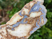 Polished On One Side Blue Lace Agate with Crazy Lace Slices x 4 From Namibia - Toprock Gemstones and Minerals