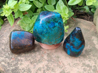 Polished Shattuckite Free Forms x 3 From Namibia - Toprock Gemstones and Minerals