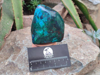 Polished Shattuckite Free Forms x 3 From Namibia - Toprock Gemstones and Minerals