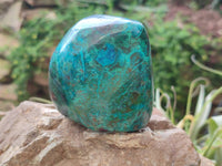 Polished Shattuckite Free Forms x 3 From Namibia - Toprock Gemstones and Minerals