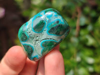 Polished Malacolla Free Forms x 20 From Kalukundi Mine, Congo - Toprock Gemstones and Minerals