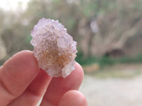 Natural Amethyst Spirit Quartz Crystals x 70 From Boekenhouthoek, South Africa - Toprock Gemstones and Minerals