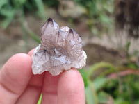 Natural Amethyst Spirit Quartz Crystals x 70 From Boekenhouthoek, South Africa - Toprock Gemstones and Minerals