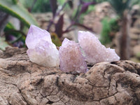 Natural Amethyst Spirit Quartz Crystals x 70 From Boekenhouthoek, South Africa - Toprock Gemstones and Minerals