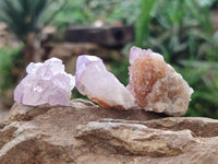 Natural Amethyst Spirit Quartz Crystals x 70 From Boekenhouthoek, South Africa - Toprock Gemstones and Minerals