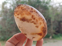 Polished Smokey Dendritic Agate Standing Free Forms x 3 From Madagascar - Toprock Gemstones and Minerals