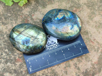 Polished Labradorite Palm Stones x 12 From Tulear, Madagascar - Toprock Gemstones and Minerals