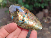 Polished Labradorite Palm Stones x 12 From Tulear, Madagascar - Toprock Gemstones and Minerals
