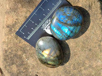 Polished Labradorite Palm Stones x 20 From Tulear, Madagascar - Toprock Gemstones and Minerals