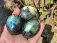 Polished Labradorite Palm Stones x 20 From Tulear, Madagascar - Toprock Gemstones and Minerals