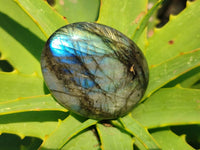 Polished Labradorite Palm Stones x 20 From Tulear, Madagascar - Toprock Gemstones and Minerals