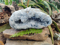 Natural Blue Celestite Crystal Specimen x 1 From Sakoany, Madagascar - Toprock Gemstones and Minerals