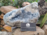 Natural Blue Celestite Crystal Specimen x 1 From Sakoany, Madagascar - Toprock Gemstones and Minerals