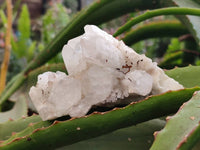 Natural Quartz Clusters x 12 From Madagascar - Toprock Gemstones and Minerals