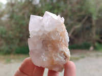 Natural Amethyst Spirit Quartz Clusters x 6 From Boekenhouthoek, South Africa - Toprock Gemstones and Minerals