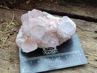 Natural Amethyst Spirit Quartz Clusters x 6 From Boekenhouthoek, South Africa - Toprock Gemstones and Minerals