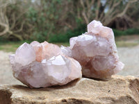 Natural Amethyst Spirit Quartz Clusters x 6 From Boekenhouthoek, South Africa - Toprock Gemstones and Minerals