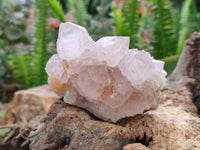 Natural Amethyst Spirit Quartz Clusters x 6 From Boekenhouthoek, South Africa - Toprock Gemstones and Minerals