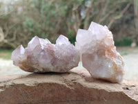 Natural Amethyst Spirit Quartz Clusters x 6 From Boekenhouthoek, South Africa - Toprock Gemstones and Minerals